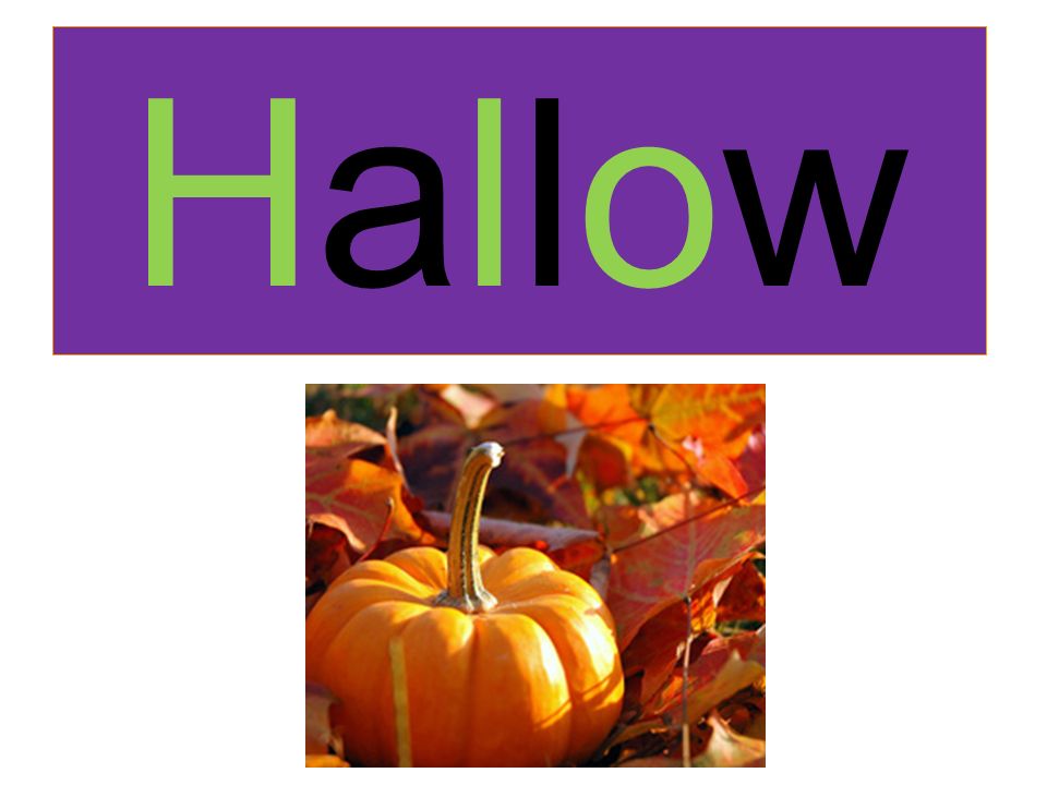 Halloweenhalloween Halloweenhalloween