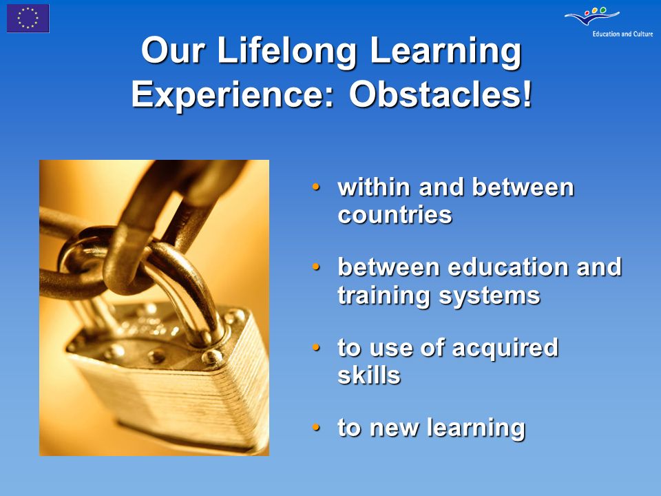 Our Lifelong Learning Experience: Obstacles.