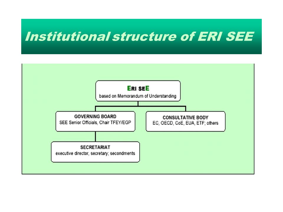 Institutional structure of ERI SEE