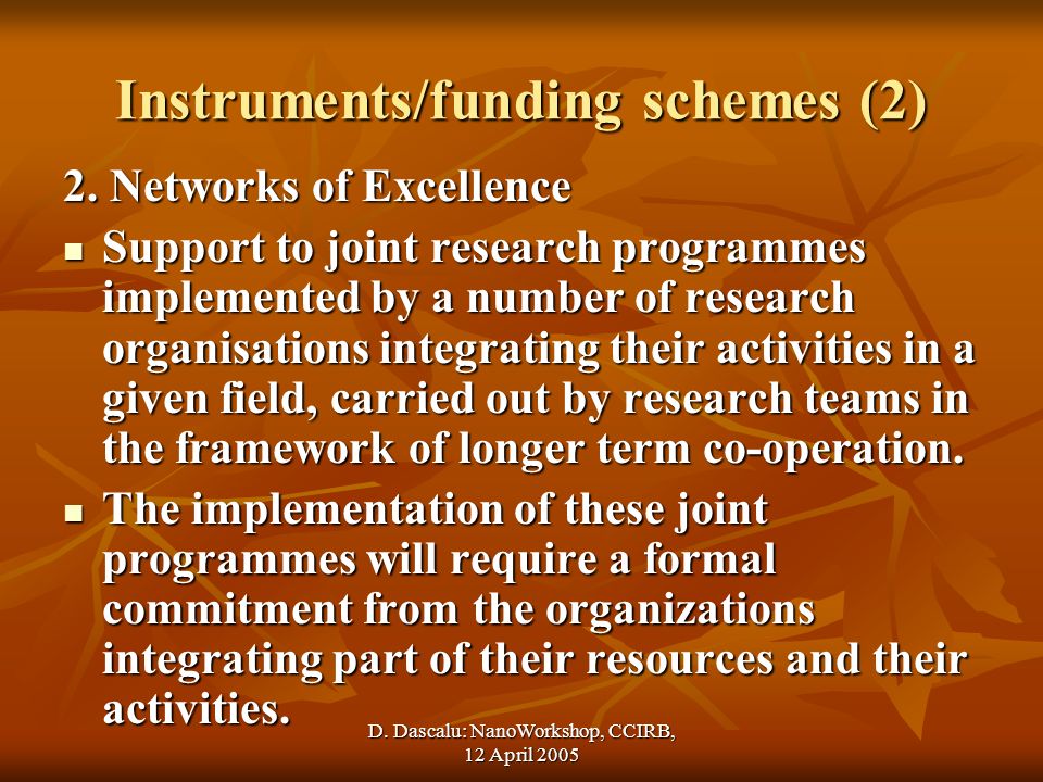 D. Dascalu: NanoWorkshop, CCIRB, 12 April 2005 Instruments/funding schemes (2) 2.
