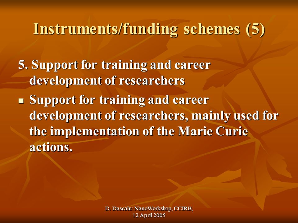 D. Dascalu: NanoWorkshop, CCIRB, 12 April 2005 Instruments/funding schemes (5) 5.