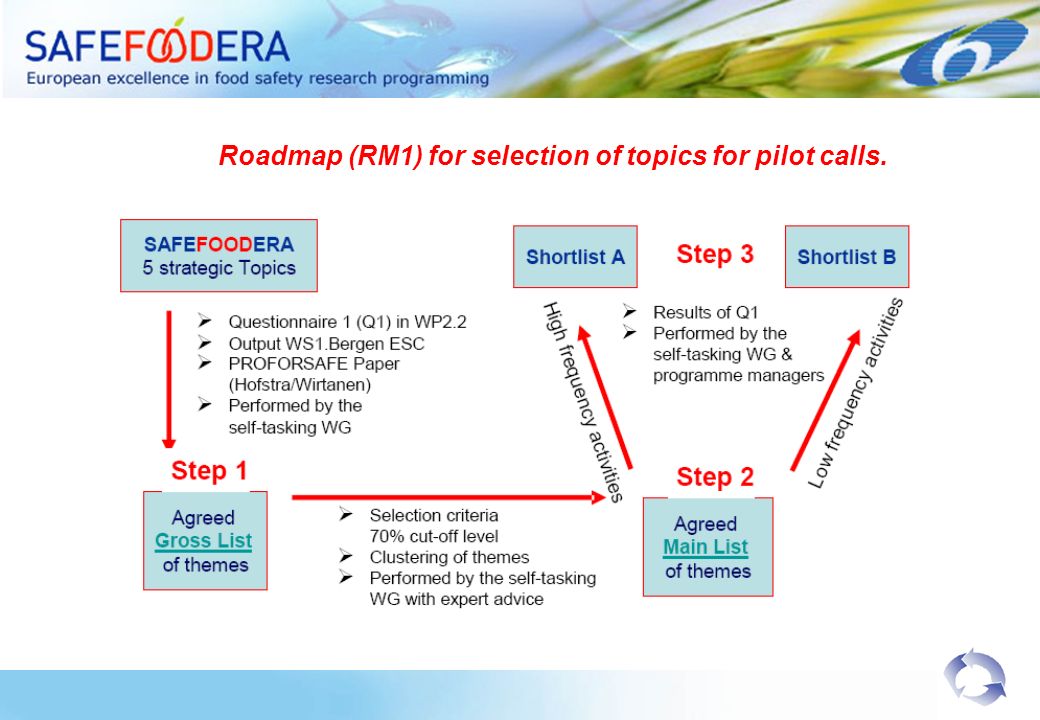 Roadmap (RM1) for selection of topics for pilot calls.