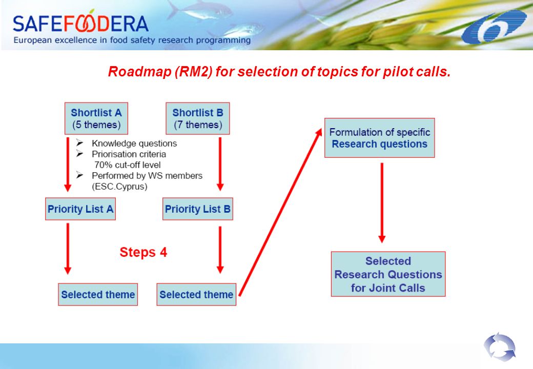 Roadmap (RM2) for selection of topics for pilot calls.