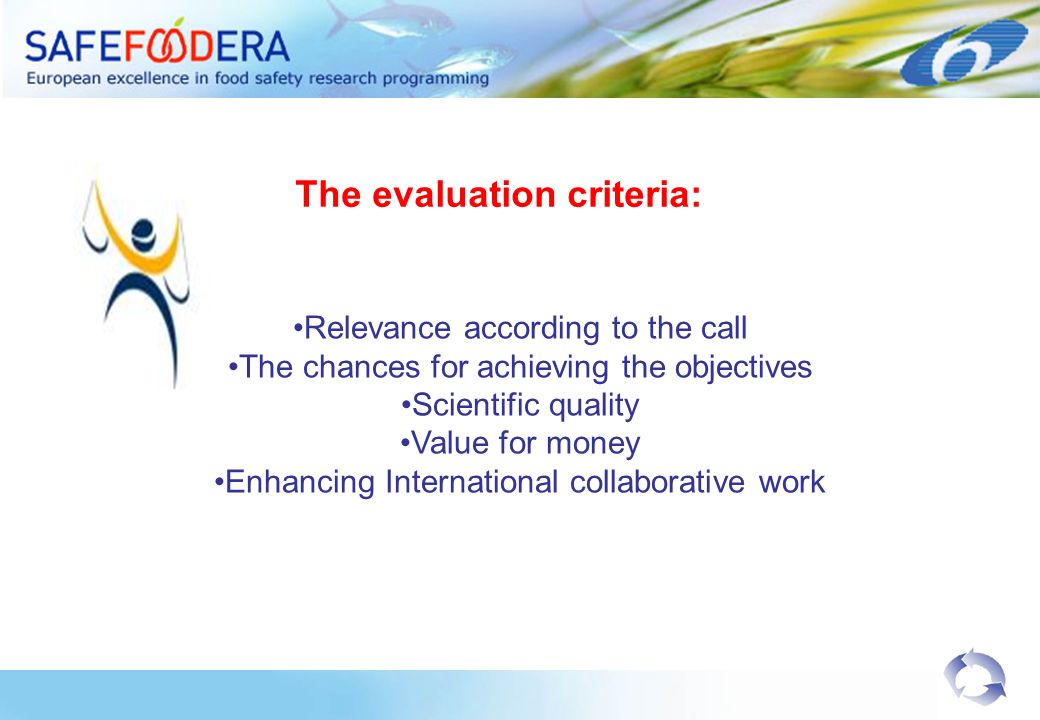 The evaluation criteria: Relevance according to the call The chances for achieving the objectives Scientific quality Value for money Enhancing International collaborative work