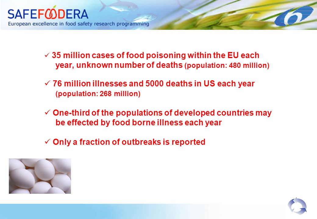 35 million cases of food poisoning within the EU each year, unknown number of deaths (population: 480 million) 76 million illnesses and 5000 deaths in US each year (population: 268 million) One-third of the populations of developed countries may be effected by food borne illness each year Only a fraction of outbreaks is reported