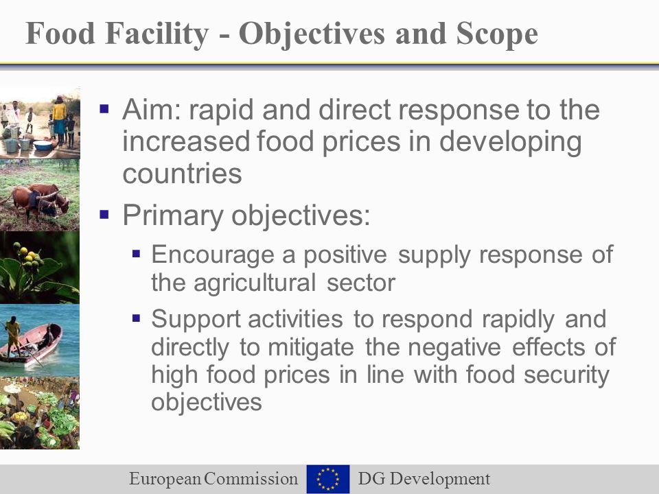 European Commission DG Development Food Facility - Objectives and Scope Aim: rapid and direct response to the increased food prices in developing countries Primary objectives: Encourage a positive supply response of the agricultural sector Support activities to respond rapidly and directly to mitigate the negative effects of high food prices in line with food security objectives