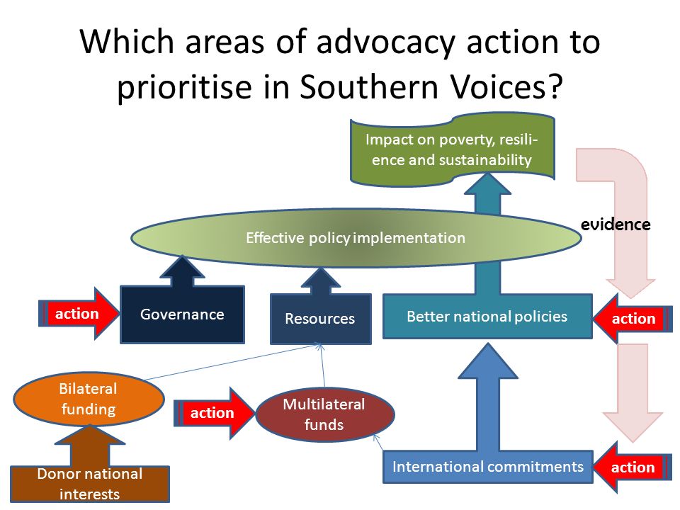 Which areas of advocacy action to prioritise in Southern Voices.