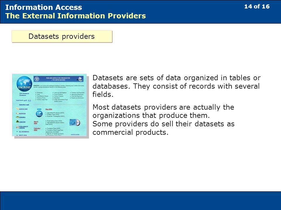 14 of 16 Information Access The External Information Providers Datasets providers Datasets are sets of data organized in tables or databases.