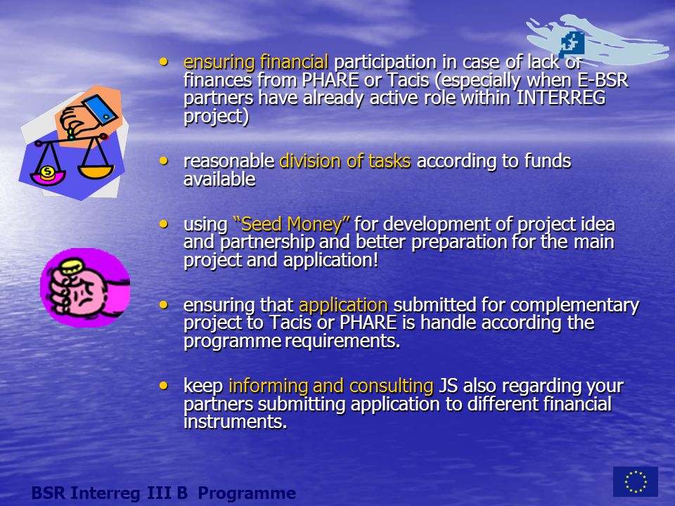 ensuring financial participation in case of lack of finances from PHARE or Tacis (especially when E-BSR partners have already active role within INTERREG project) ensuring financial participation in case of lack of finances from PHARE or Tacis (especially when E-BSR partners have already active role within INTERREG project) reasonable division of tasks according to funds available reasonable division of tasks according to funds available using Seed Money for development of project idea and partnership and better preparation for the main project and application.