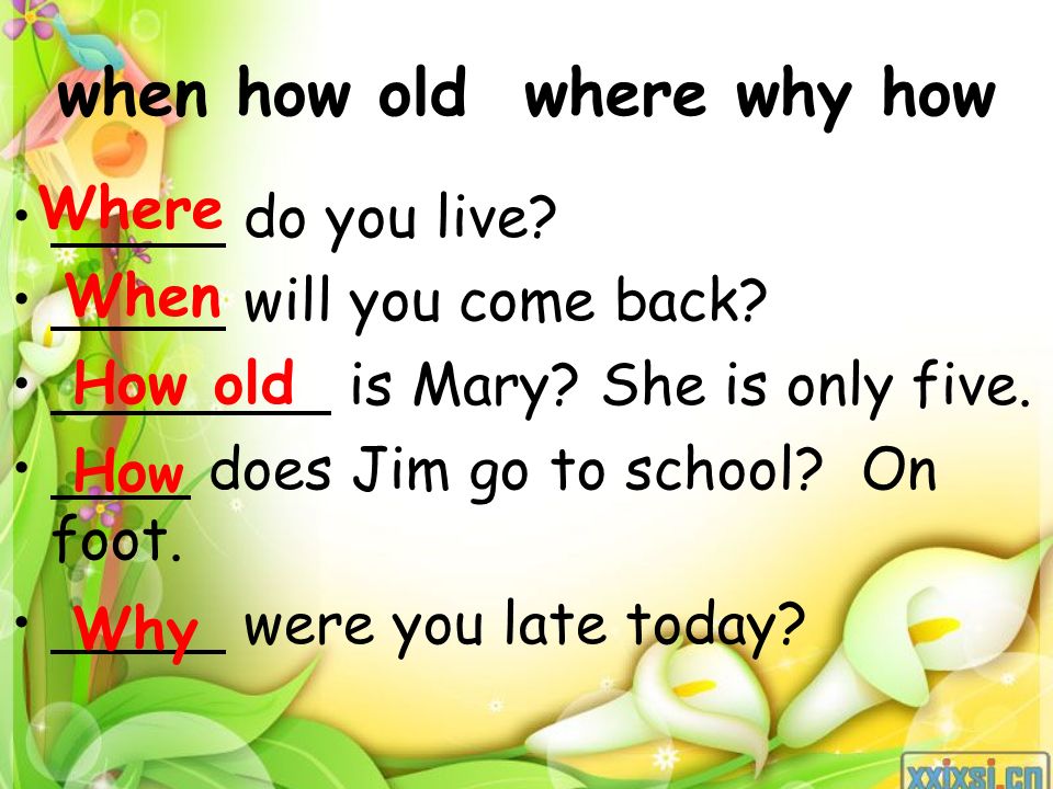 when how old where why how do you live. will you come back.