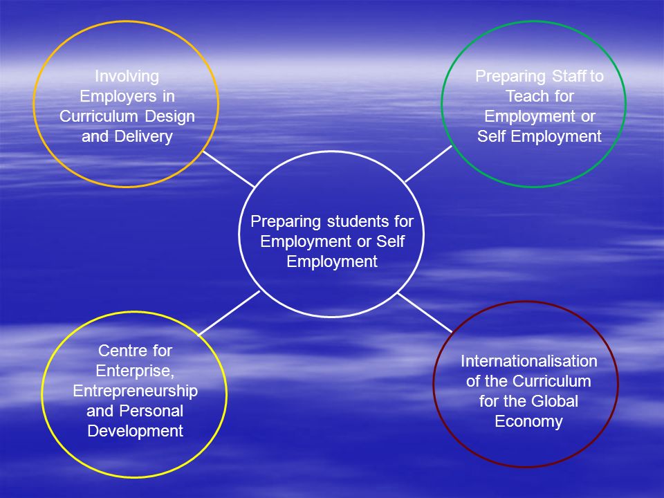 Preparing students for Employment or Self Employment Involving Employers in Curriculum Design and Delivery Preparing Staff to Teach for Employment or Self Employment Centre for Enterprise, Entrepreneurship and Personal Development Internationalisation of the Curriculum for the Global Economy