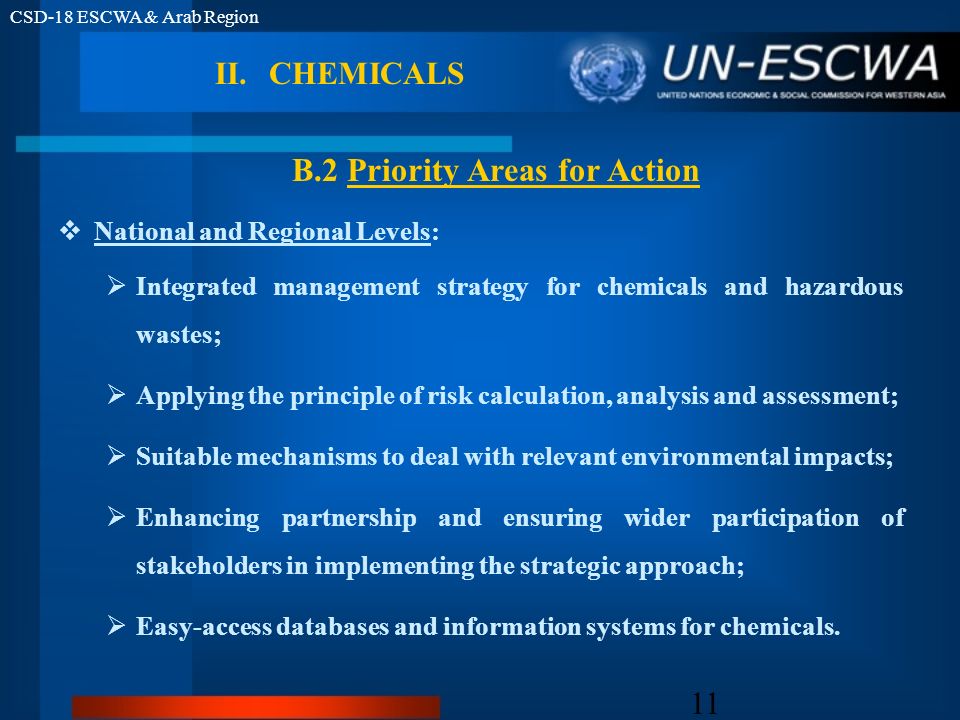 CSD-18 ESCWA & Arab Region 11 National and Regional Levels: Integrated management strategy for chemicals and hazardous wastes; Applying the principle of risk calculation, analysis and assessment; Suitable mechanisms to deal with relevant environmental impacts; Enhancing partnership and ensuring wider participation of stakeholders in implementing the strategic approach; Easy-access databases and information systems for chemicals.