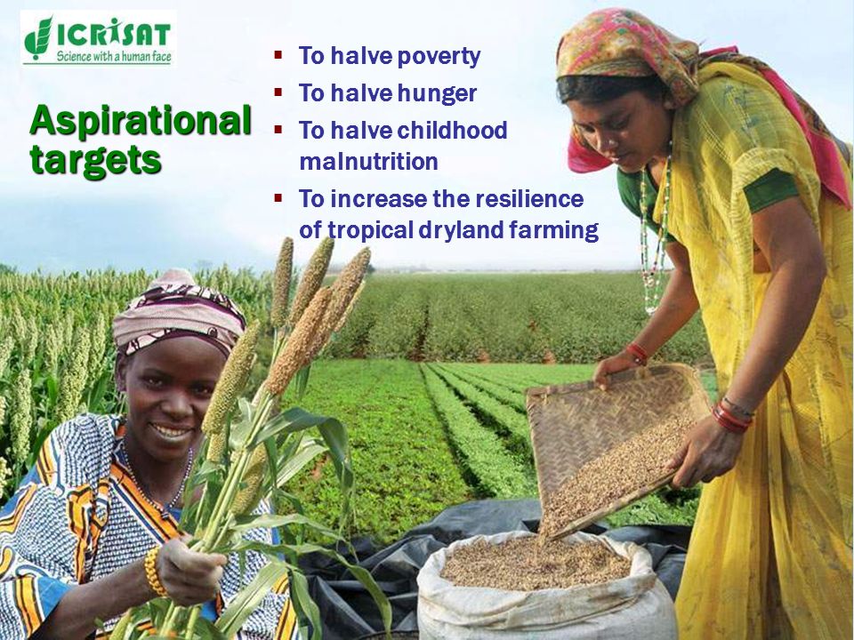 To halve poverty To halve hunger To halve childhood malnutrition To increase the resilience of tropical dryland farming Aspirational targets