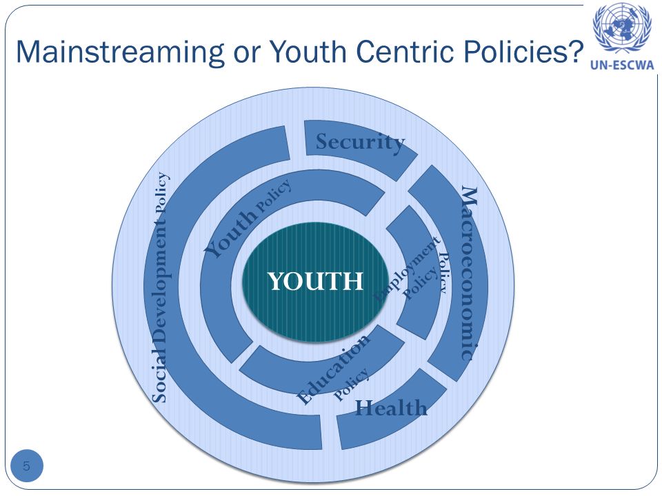 Youth Policy Mainstreaming or Youth Centric Policies.