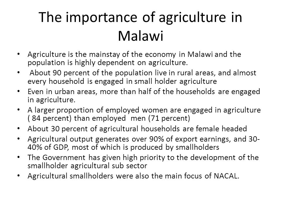 The importance of agriculture in Malawi Agriculture is the mainstay of the economy in Malawi and the population is highly dependent on agriculture.