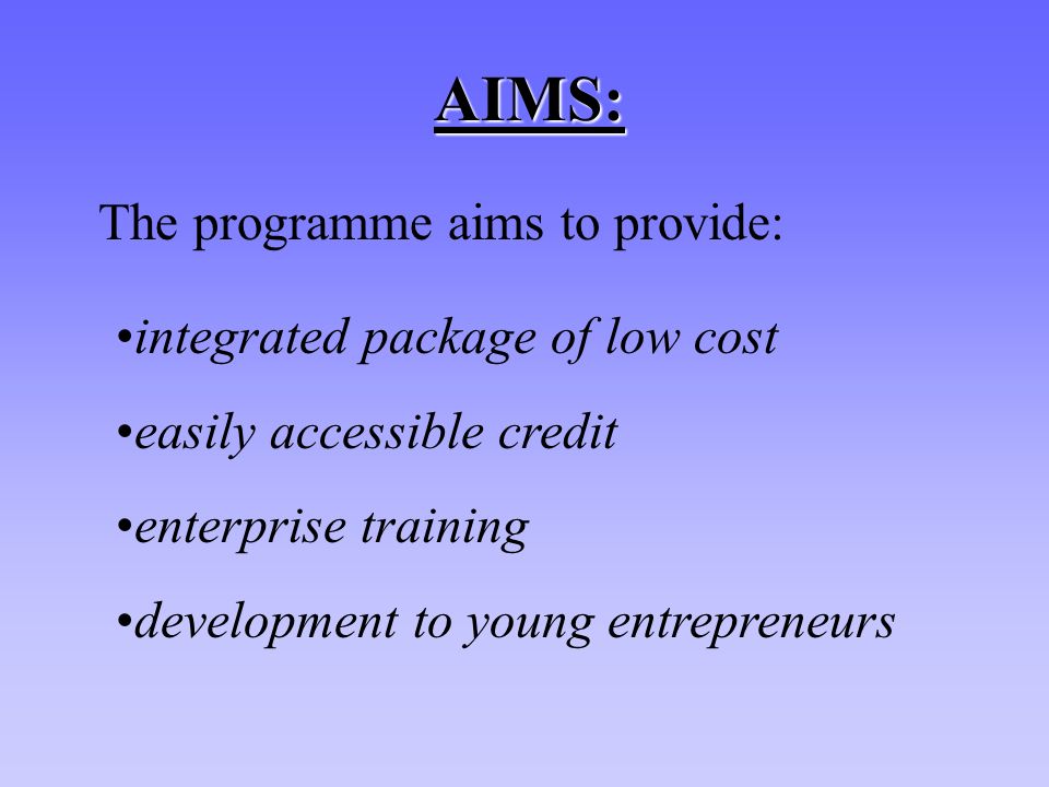 AIMS: integrated package of low cost easily accessible credit enterprise training development to young entrepreneurs The programme aims to provide: