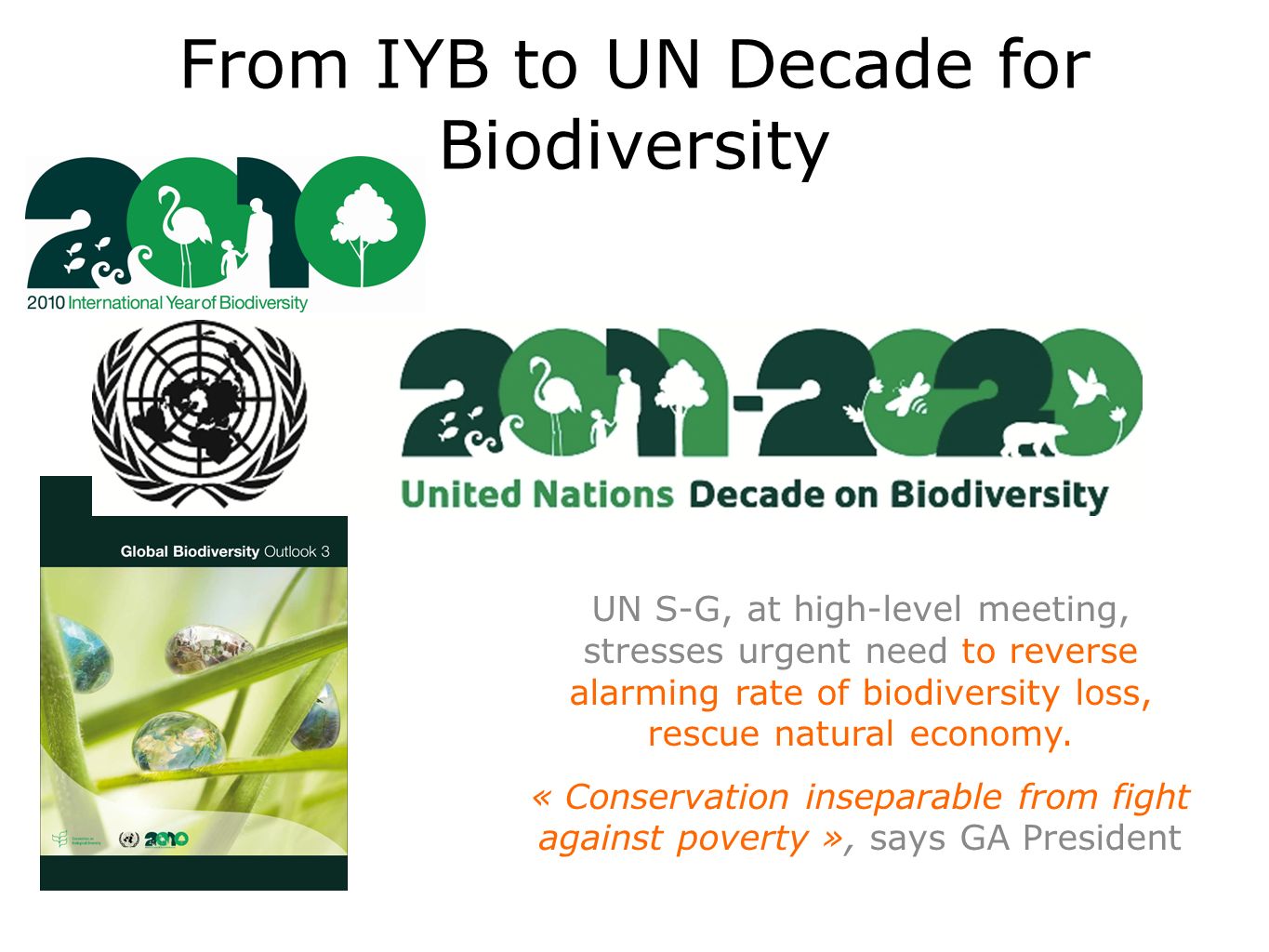 From IYB to UN Decade for Biodiversity UN S-G, at high-level meeting, stresses urgent need to reverse alarming rate of biodiversity loss, rescue natural economy.