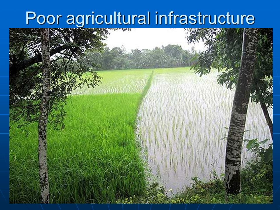 Poor agricultural infrastructure
