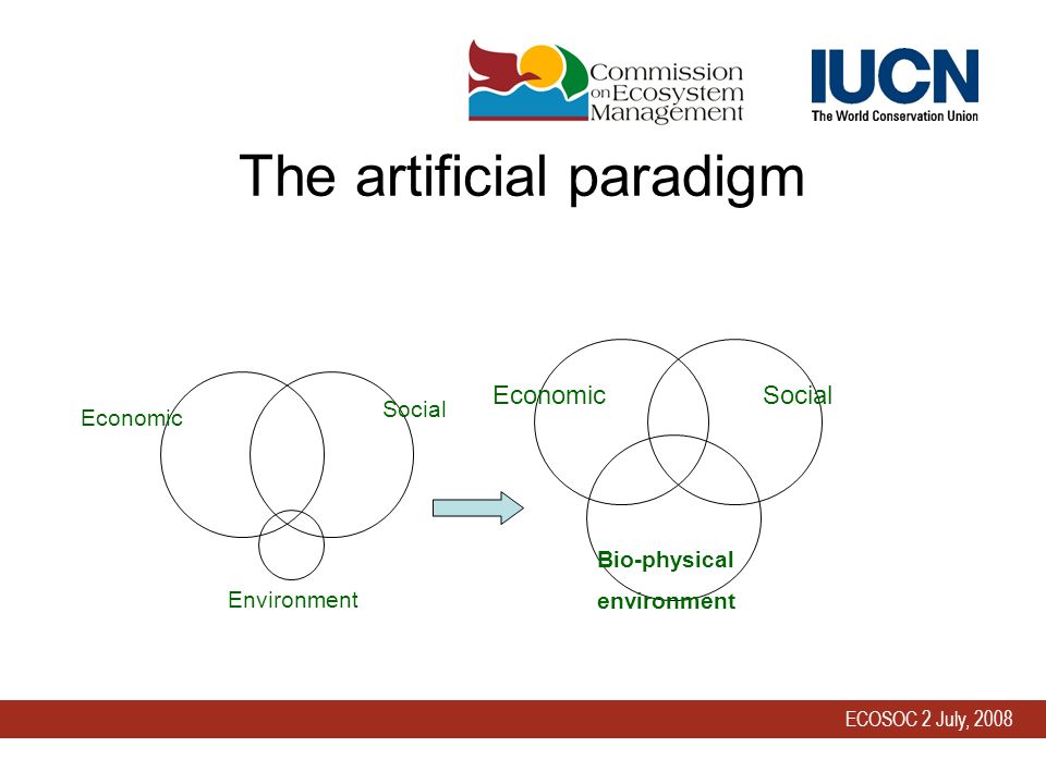 ECOSOC 2 July, 2008 The artificial paradigm Environment Economic Social Economic Bio-physical environment Social