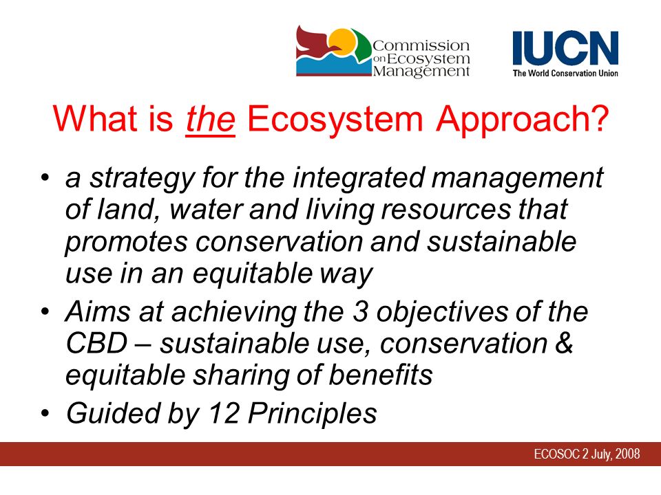 ECOSOC 2 July, 2008 What is the Ecosystem Approach.