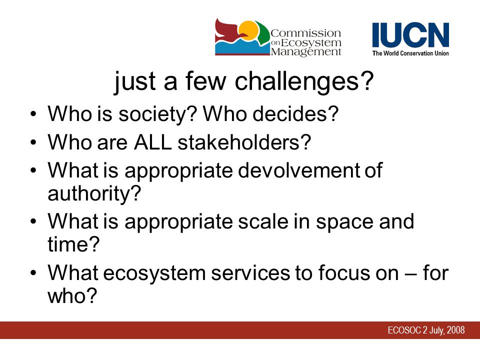 ECOSOC 2 July, 2008 just a few challenges. Who is society.