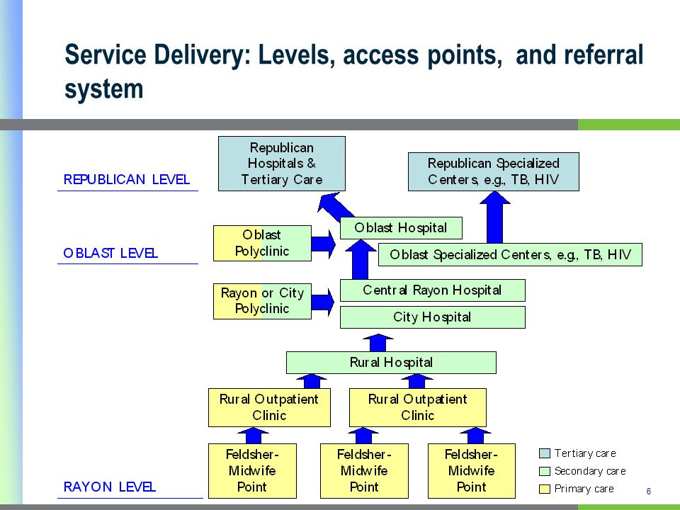 6 Service Delivery: Levels, access points, and referral system 6
