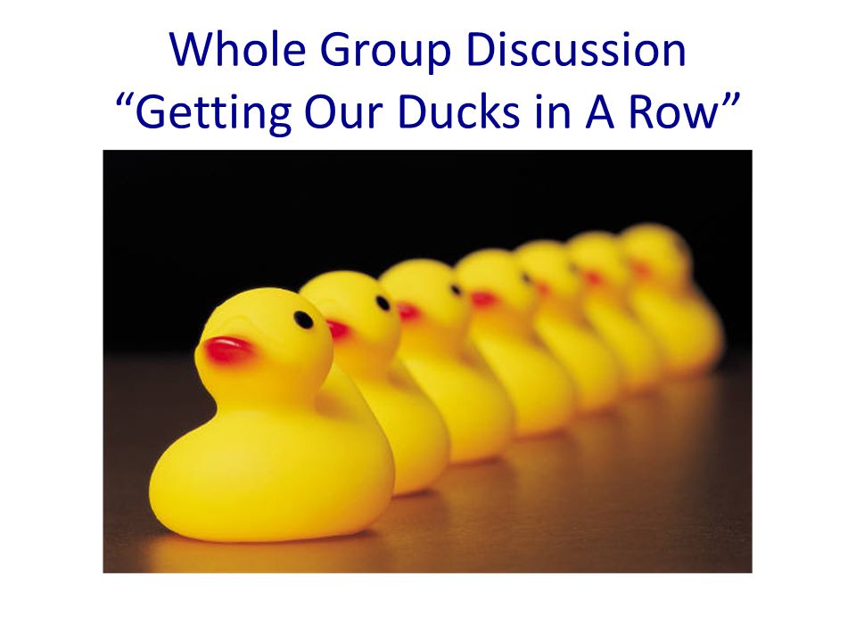 Whole Group Discussion Getting Our Ducks in A Row