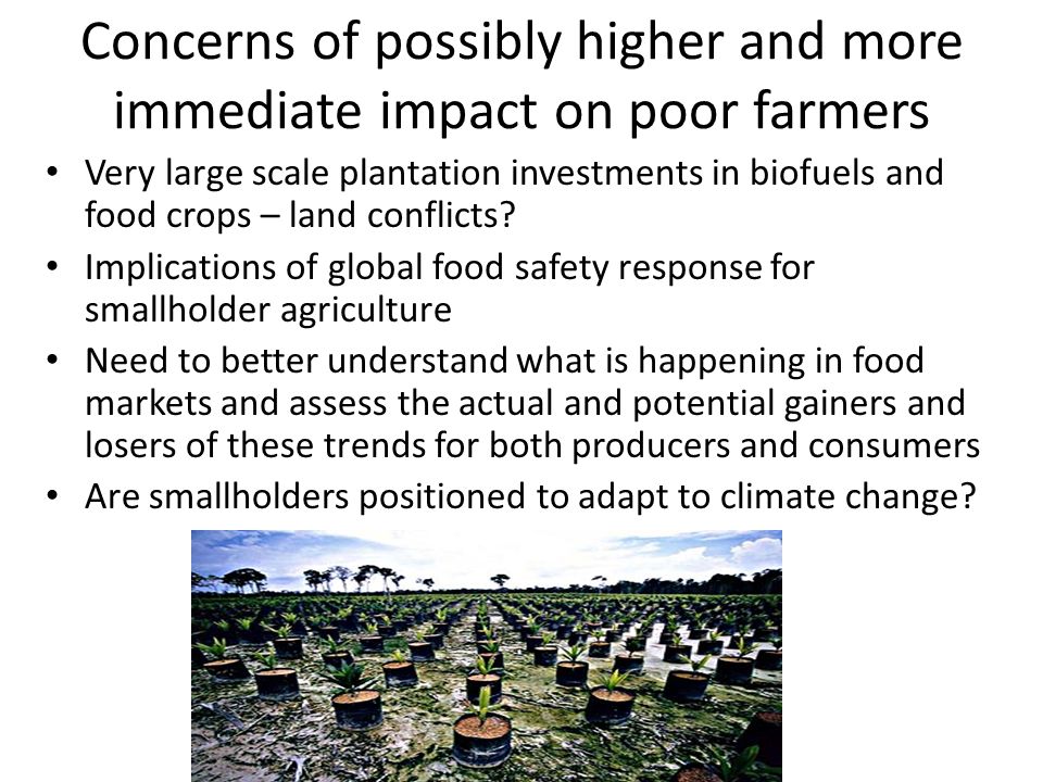 Concerns of possibly higher and more immediate impact on poor farmers Very large scale plantation investments in biofuels and food crops – land conflicts.