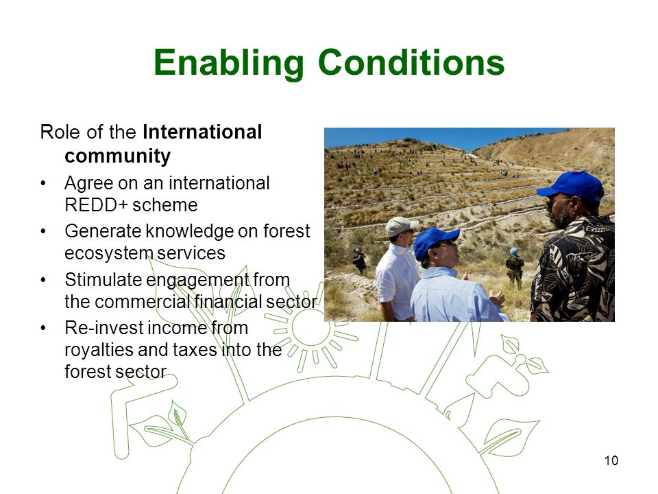 10 Enabling Conditions Role of the International community Agree on an international REDD+ scheme Generate knowledge on forest ecosystem services Stimulate engagement from the commercial financial sector Re-invest income from royalties and taxes into the forest sector