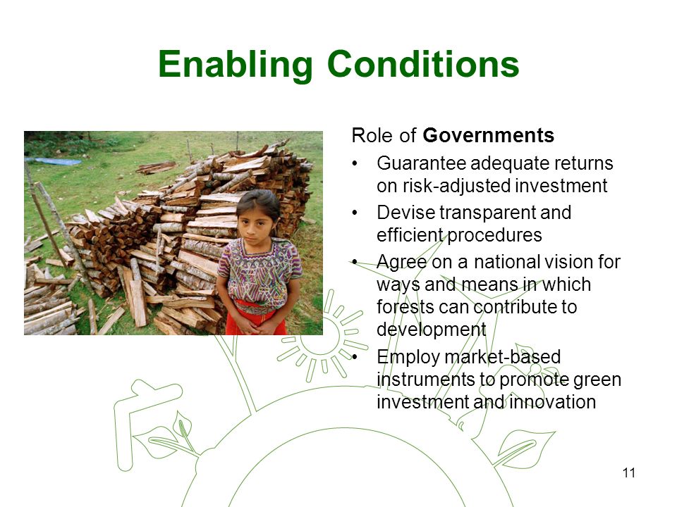 11 Enabling Conditions Role of Governments Guarantee adequate returns on risk-adjusted investment Devise transparent and efficient procedures Agree on a national vision for ways and means in which forests can contribute to development Employ market-based instruments to promote green investment and innovation