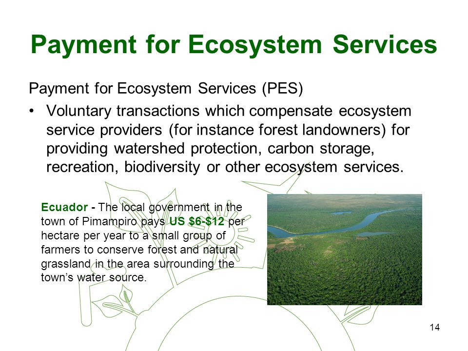 14 Payment for Ecosystem Services Payment for Ecosystem Services (PES) Voluntary transactions which compensate ecosystem service providers (for instance forest landowners) for providing watershed protection, carbon storage, recreation, biodiversity or other ecosystem services.