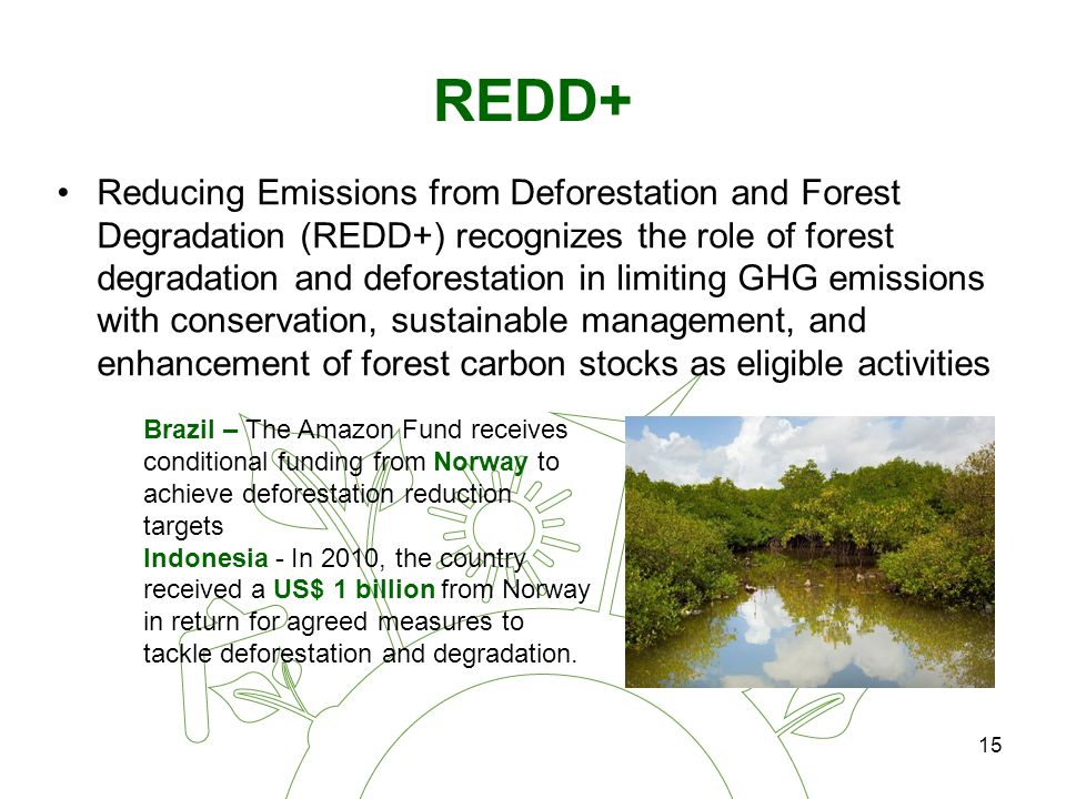 15 REDD+ Reducing Emissions from Deforestation and Forest Degradation (REDD+) recognizes the role of forest degradation and deforestation in limiting GHG emissions with conservation, sustainable management, and enhancement of forest carbon stocks as eligible activities Brazil – The Amazon Fund receives conditional funding from Norway to achieve deforestation reduction targets Indonesia - In 2010, the country received a US$ 1 billion from Norway in return for agreed measures to tackle deforestation and degradation.