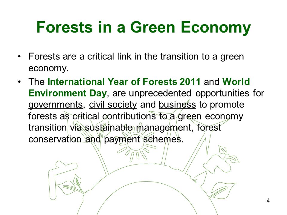 4 Forests in a Green Economy Forests are a critical link in the transition to a green economy.