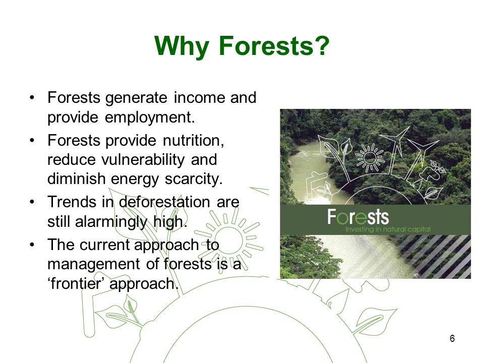 6 Why Forests. Forests generate income and provide employment.