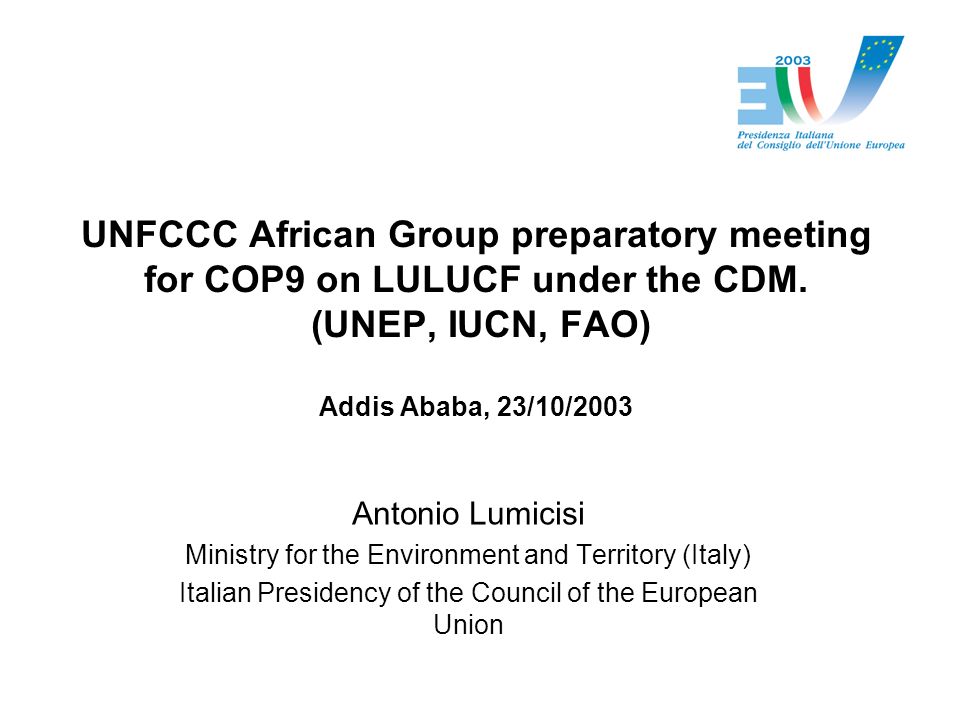UNFCCC African Group preparatory meeting for COP9 on LULUCF under the CDM.