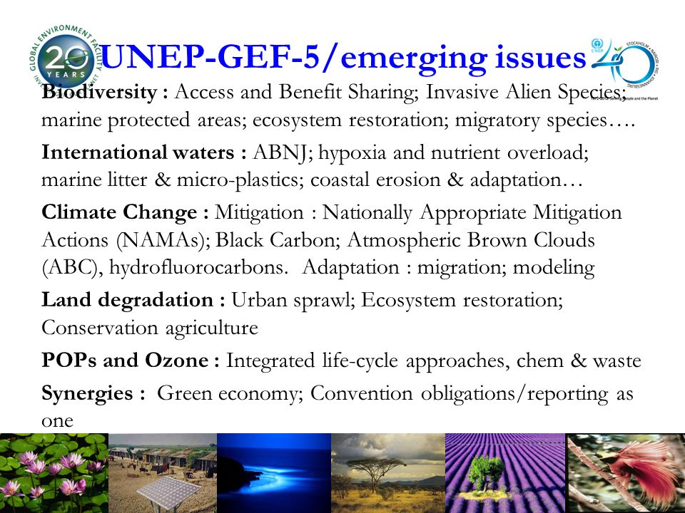 UNEP-GEF-5/emerging issues Biodiversity : Access and Benefit Sharing; Invasive Alien Species; marine protected areas; ecosystem restoration; migratory species….