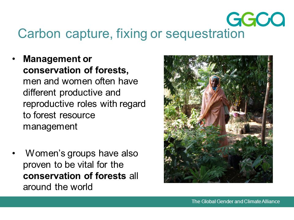The Global Gender and Climate Alliance Carbon capture, fixing or sequestration Management or conservation of forests, men and women often have different productive and reproductive roles with regard to forest resource management Womens groups have also proven to be vital for the conservation of forests all around the world