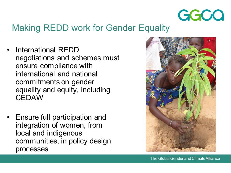 The Global Gender and Climate Alliance International REDD negotiations and schemes must ensure compliance with international and national commitments on gender equality and equity, including CEDAW Ensure full participation and integration of women, from local and indigenous communities, in policy design processes Making REDD work for Gender Equality