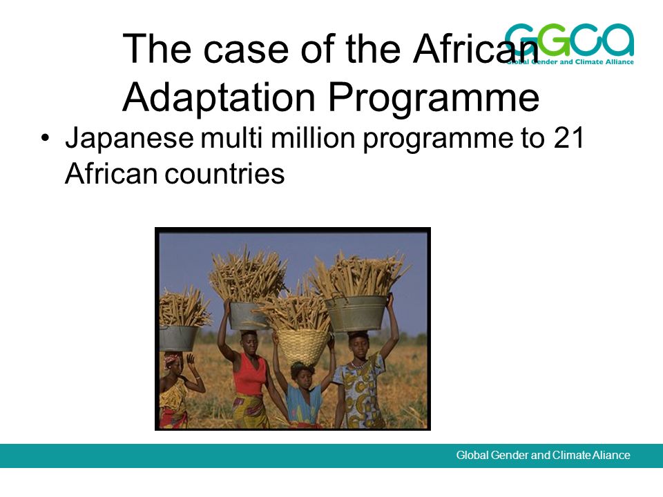 Global Gender and Climate Aliance The case of the African Adaptation Programme Japanese multi million programme to 21 African countries