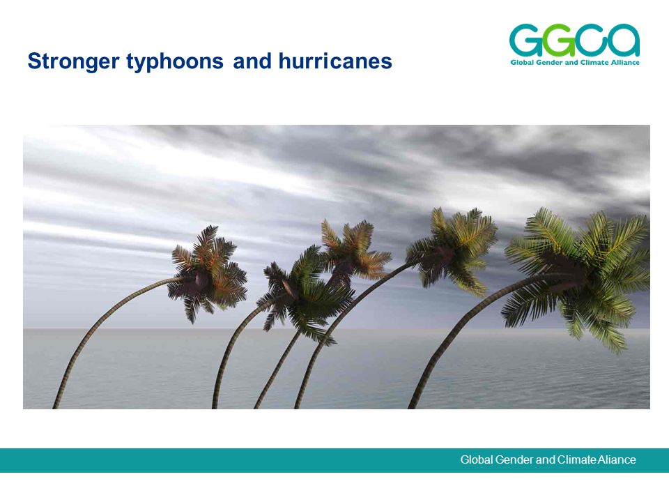 Global Gender and Climate Aliance Stronger typhoons and hurricanes