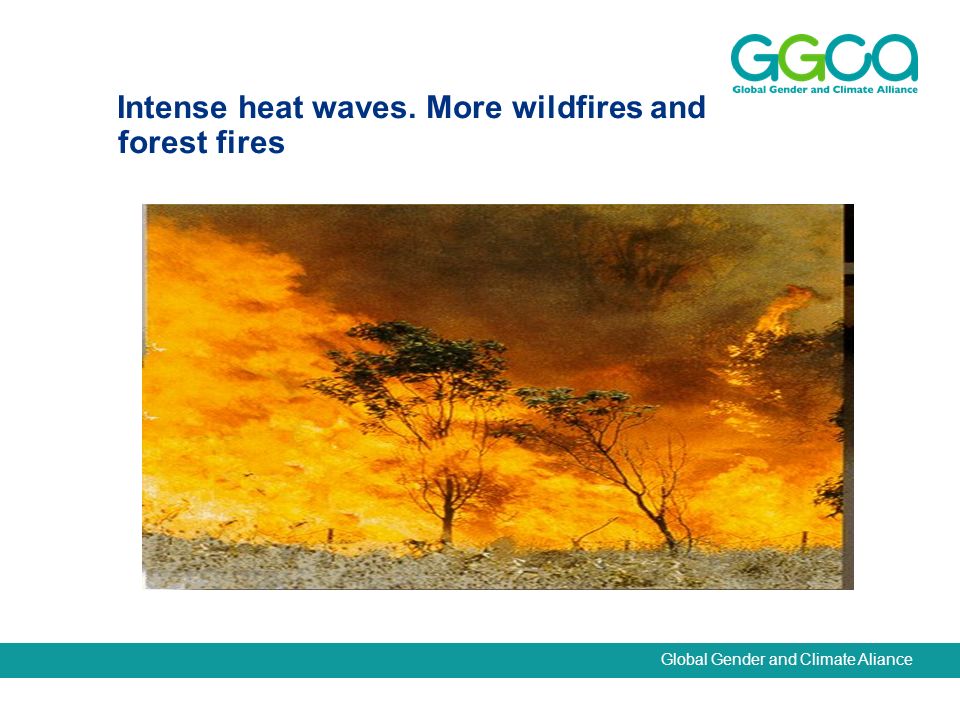 Global Gender and Climate Aliance Intense heat waves. More wildfires and forest fires