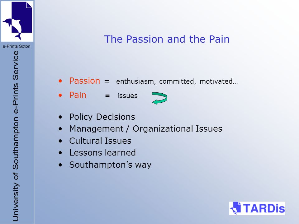 The Passion and the Pain Passion = enthusiasm, committed, motivated… Pain = issues Policy Decisions Management / Organizational Issues Cultural Issues Lessons learned Southamptons way