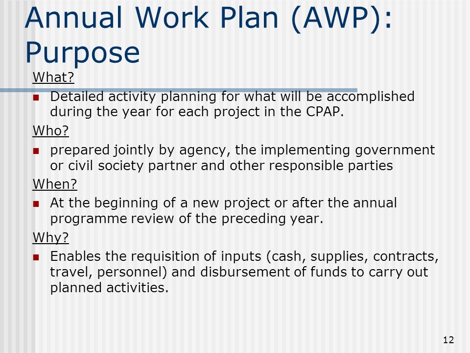12 Annual Work Plan (AWP): Purpose What.