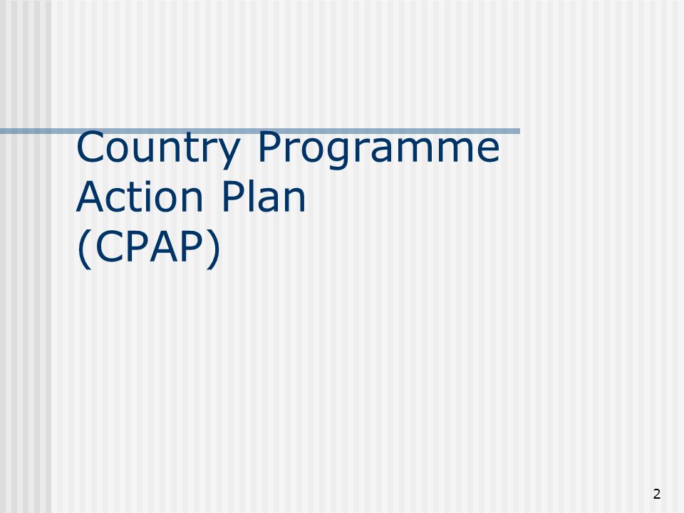 2 Country Programme Action Plan (CPAP)