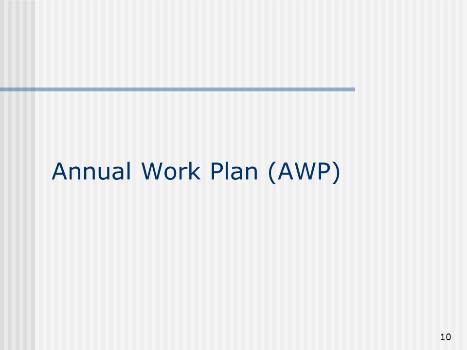 10 Annual Work Plan (AWP)