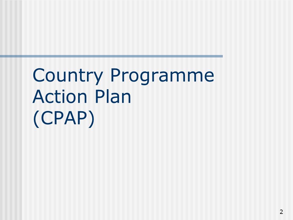 2 Country Programme Action Plan (CPAP)