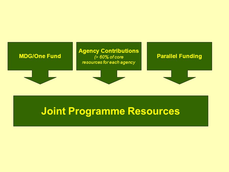 MDG/One FundParallel Funding Agency Contributions (> 60% of core resources for each agency Joint Programme Resources