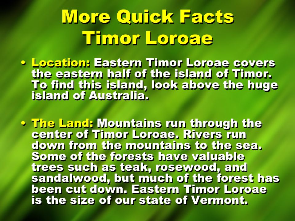 More Quick Facts Timor Loroae Location: Eastern Timor Loroae covers the eastern half of the island of Timor.