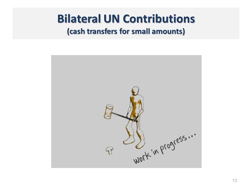 Bilateral UN Contributions (cash transfers for small amounts) 13