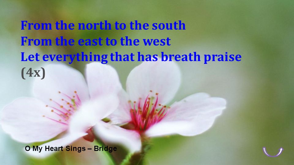 O My Heart Sings – Bridge From the north to the south From the east to the west Let everything that has breath praise (4x)